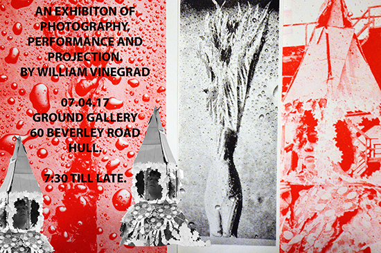 william vinegrad exhibitions