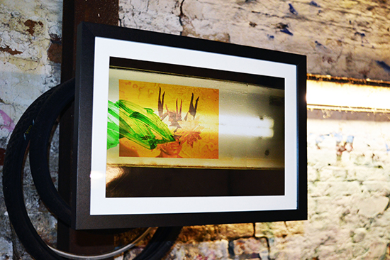 william vinegrad exhibitions