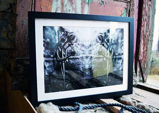 william vinegrad exhibitions